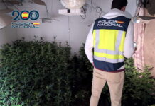 La Policía Nacional detiene a un varón y dos mujeres que ocultaban una plantación de marihuana en la casa que habían okupado