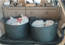 Intervenidos 250 kilogramos de producto pesquero comercializado de forma ilegal