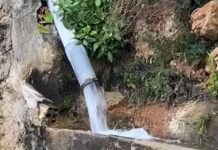 Las lluvias navideñas dan un respiro al campo alicantino tras meses de sequía