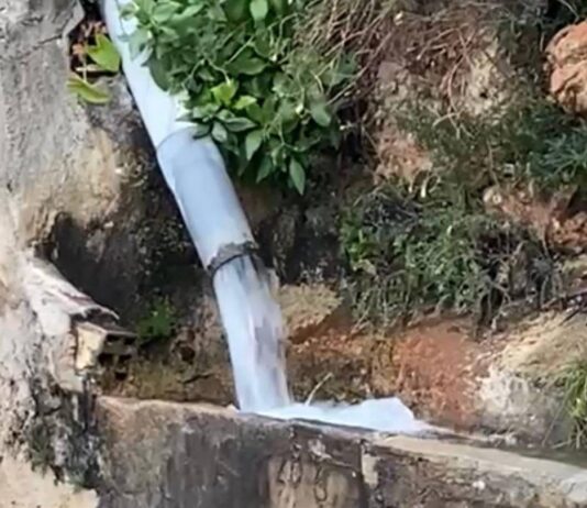 Las lluvias navideñas dan un respiro al campo alicantino tras meses de sequía