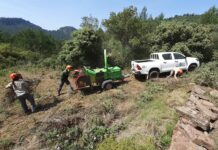 La Generalitat refuerza el mantenimiento de áreas forestales clave en Alicante para reducir el riesgo de incendios