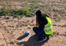 Ibi avanza en la prevención sísmica con un estudio técnico para planificar futuras emergencias