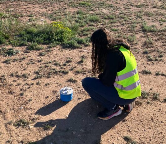 Ibi avanza en la prevención sísmica con un estudio técnico para planificar futuras emergencias