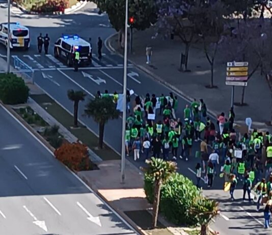 Alicante inicia la huelga del profesorado con una gran manifestación